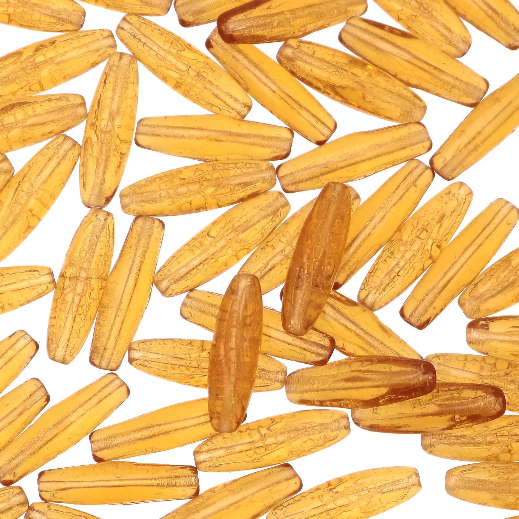 Oliva lunga scoppiata, 19x5,5, Topazio
