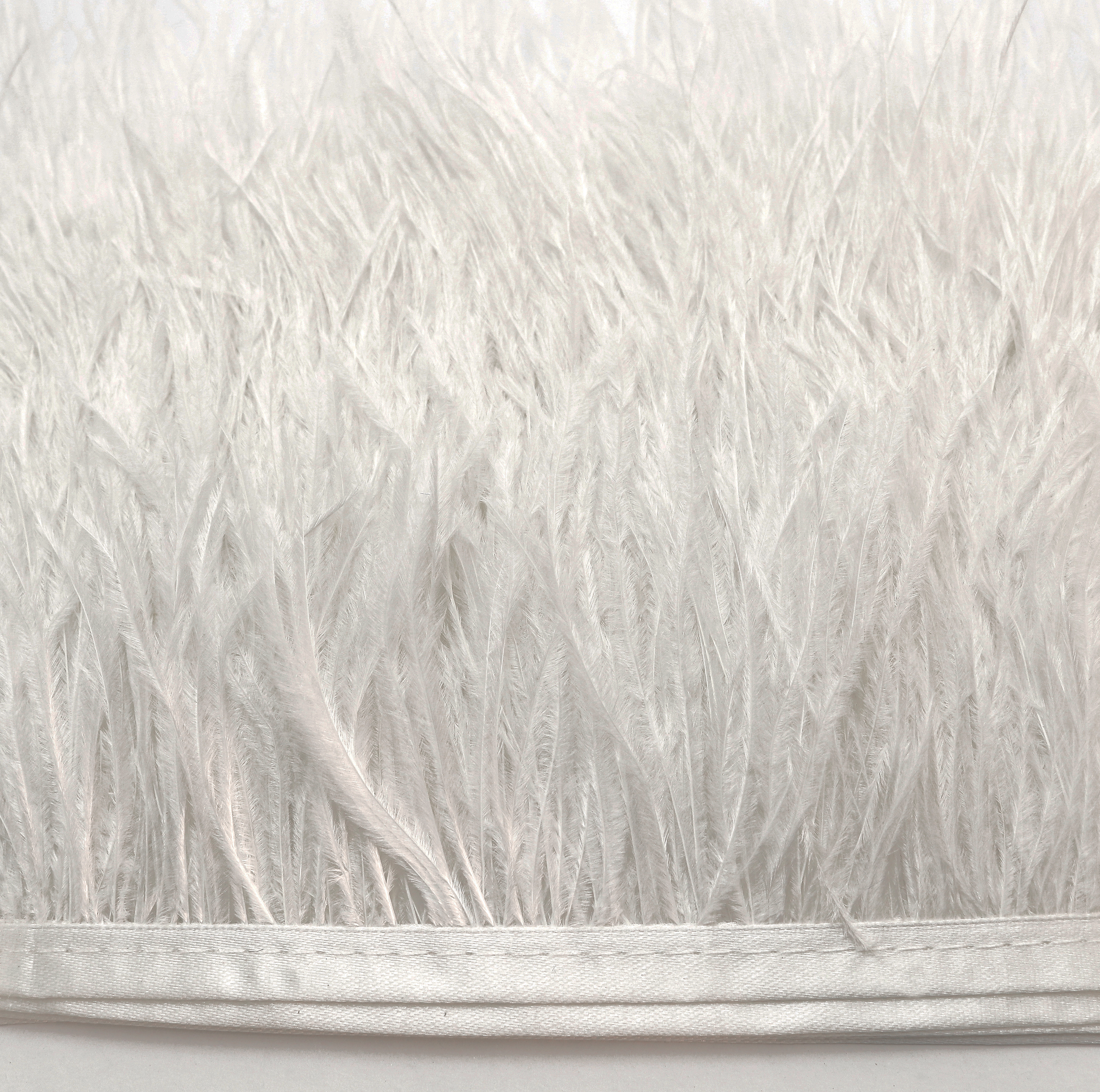 Passamaneria con Piume, altezza 10-12 cm., colore BIANCO