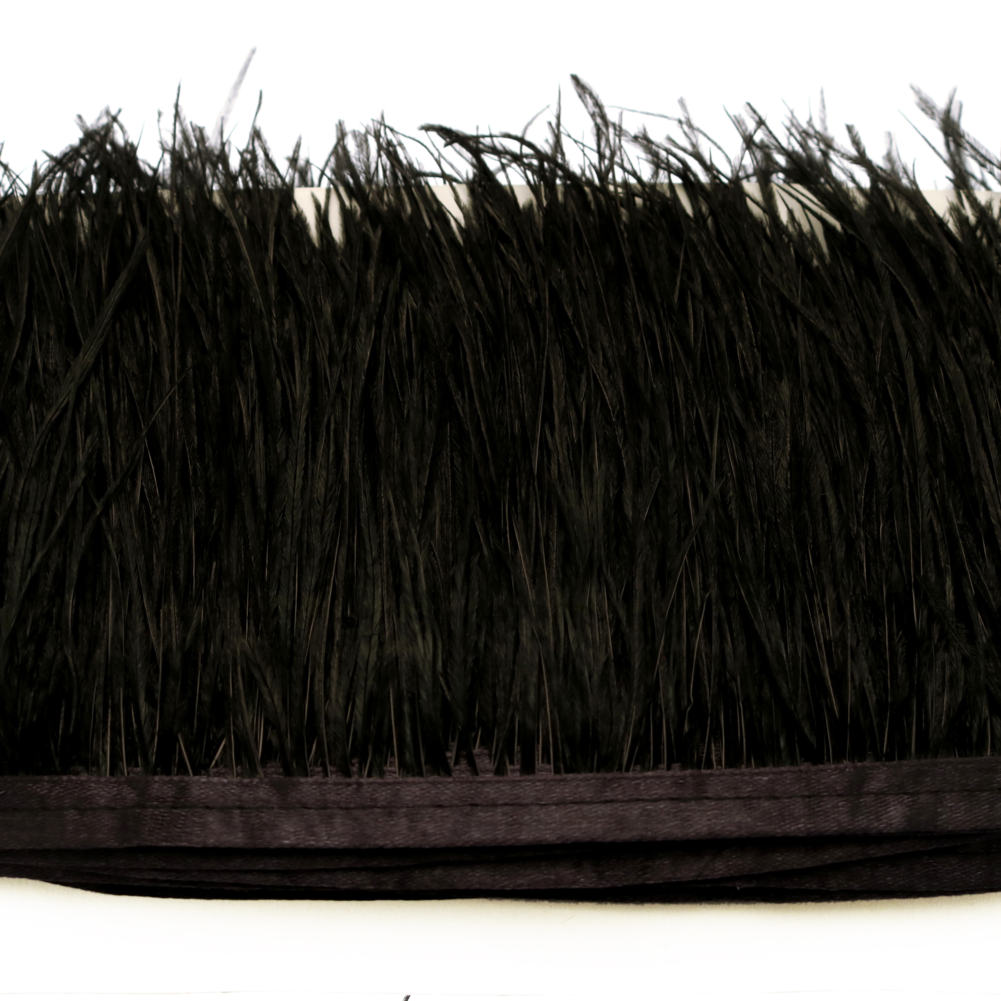 Passamaneria con Piume, altezza 10-15 cm., colore NERO