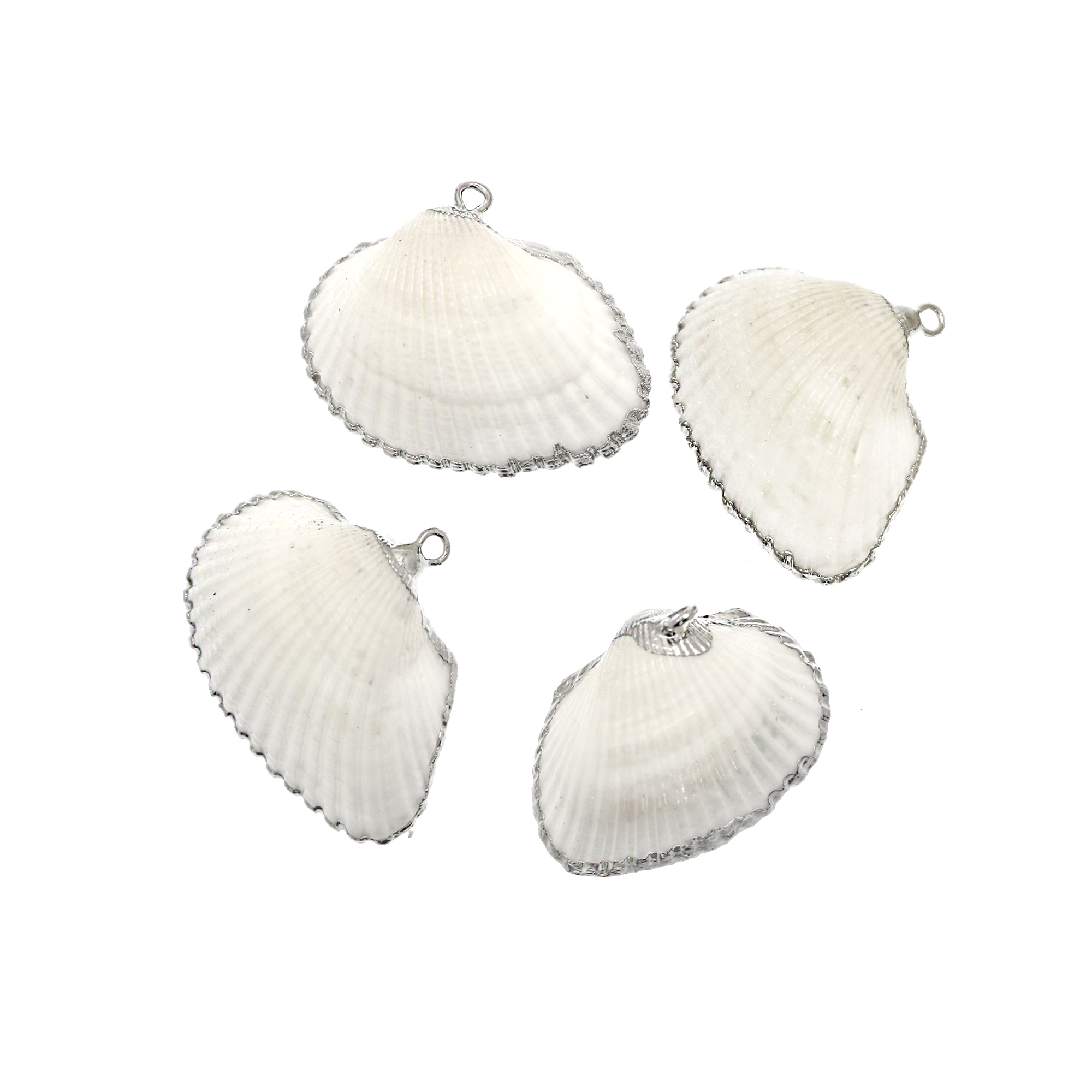 Conchiglia a Ventaglio, 23-26x20-23 mm., con bordi e rifiniture in metallo colore ARGENTO